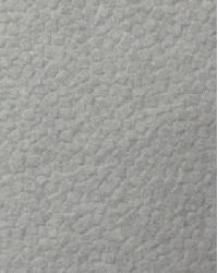 RSC2023 Frosted Glass